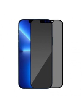 OEM PRIVACY FULL FACE...